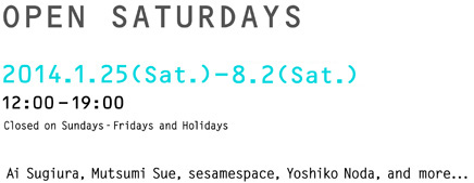 OPEN SATURDAYS 2014.1.25（Sat.）-12.20（Sat.）12:00〜19:00　Closed on Sundays-Fridays and Holidays Ai Sugiura,Mutsumi Sue,Yoshiko Noda,and more